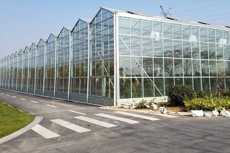 Solar Greenhouses