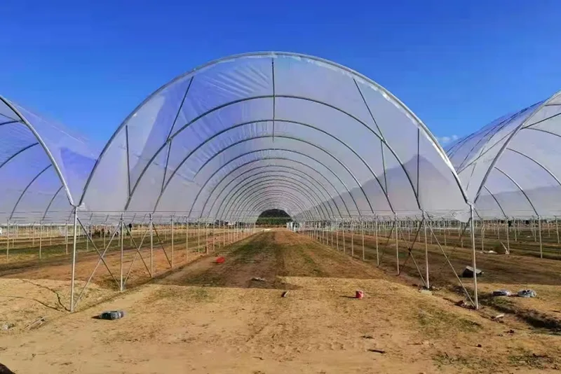 Film Greenhouses