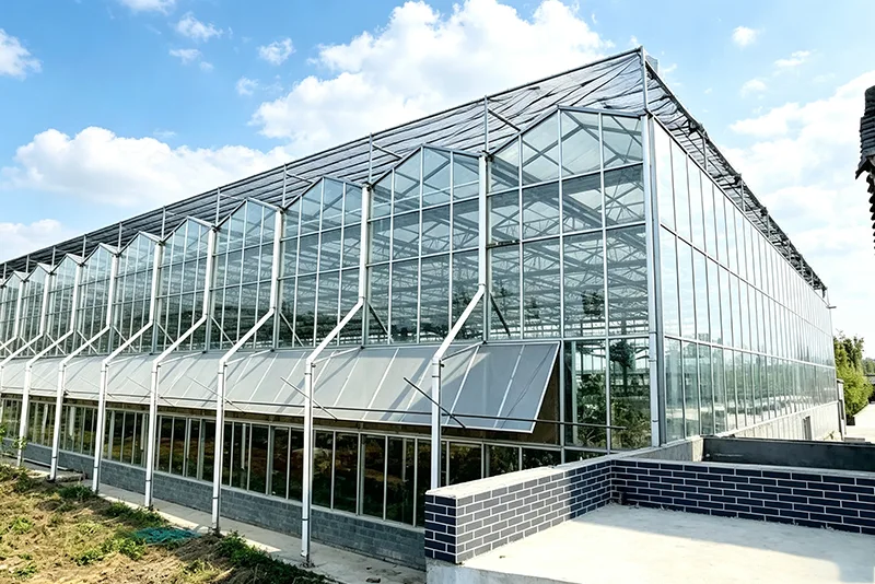 Agricultural Greenhouses