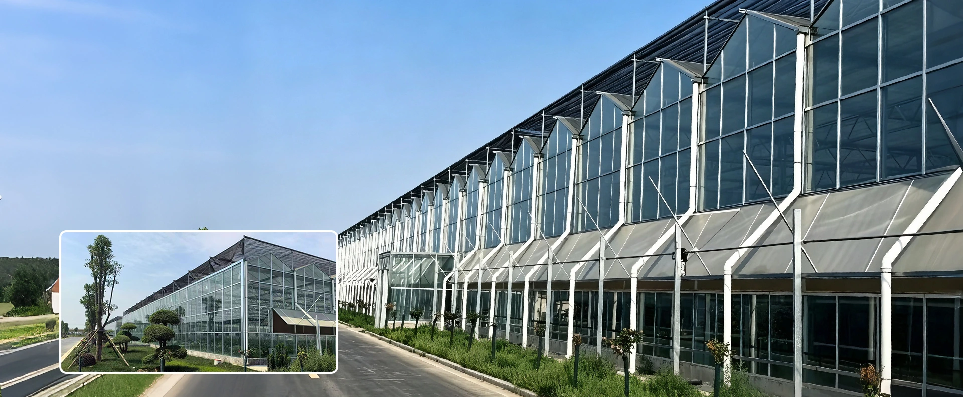China Multi-Span Greenhouses Factory