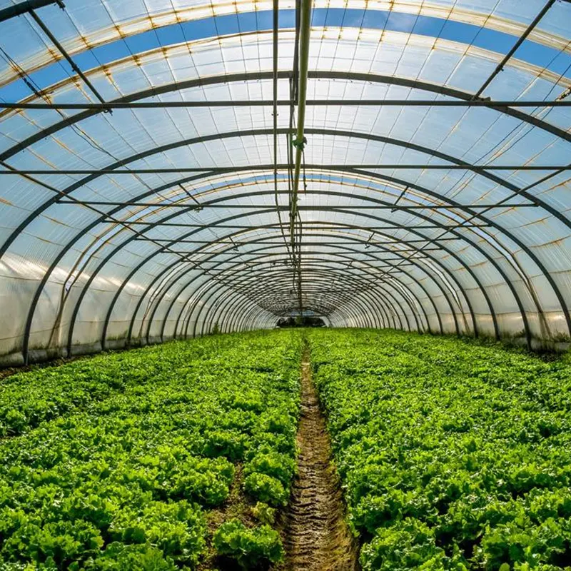 All-Steel Round-Arch Solar Greenhouse
