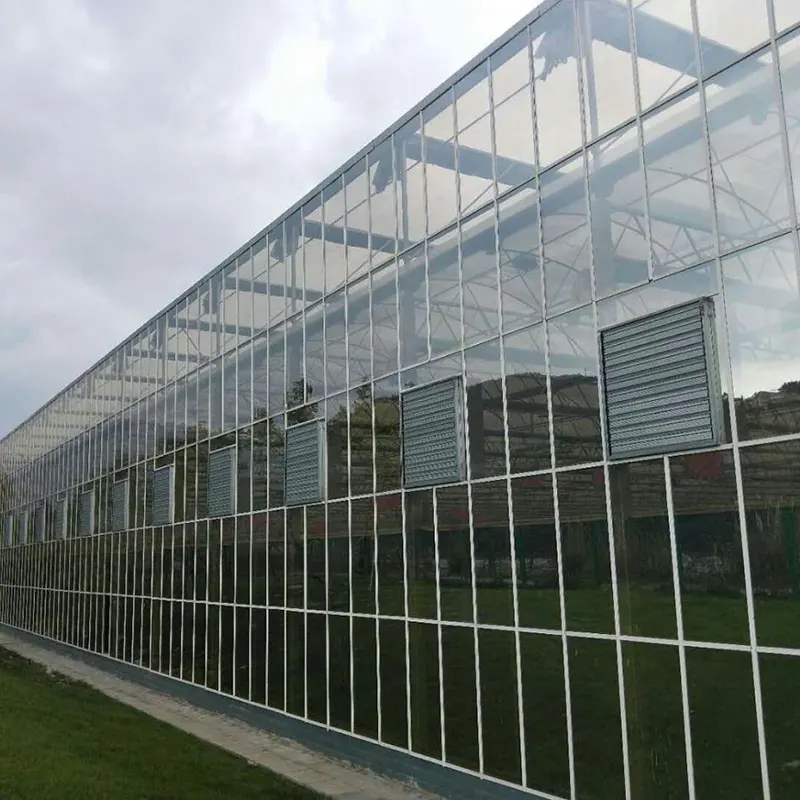 Hollow PC Plate Multi-Span Greenhouse