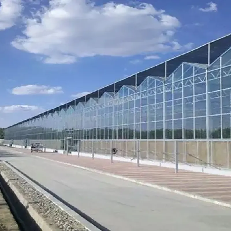 Double-Sided Sawtooth-Type Multi-Span Greenhouse