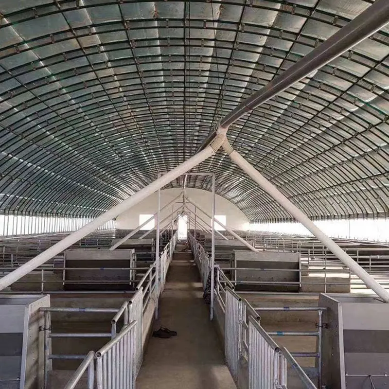 Dairy Cow Breeding Shed
