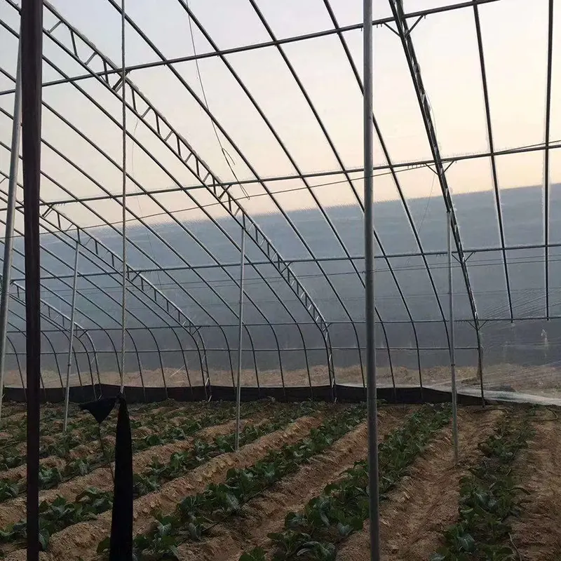 Prefabricated All-Steel Single-Slope Solar Greenhouse