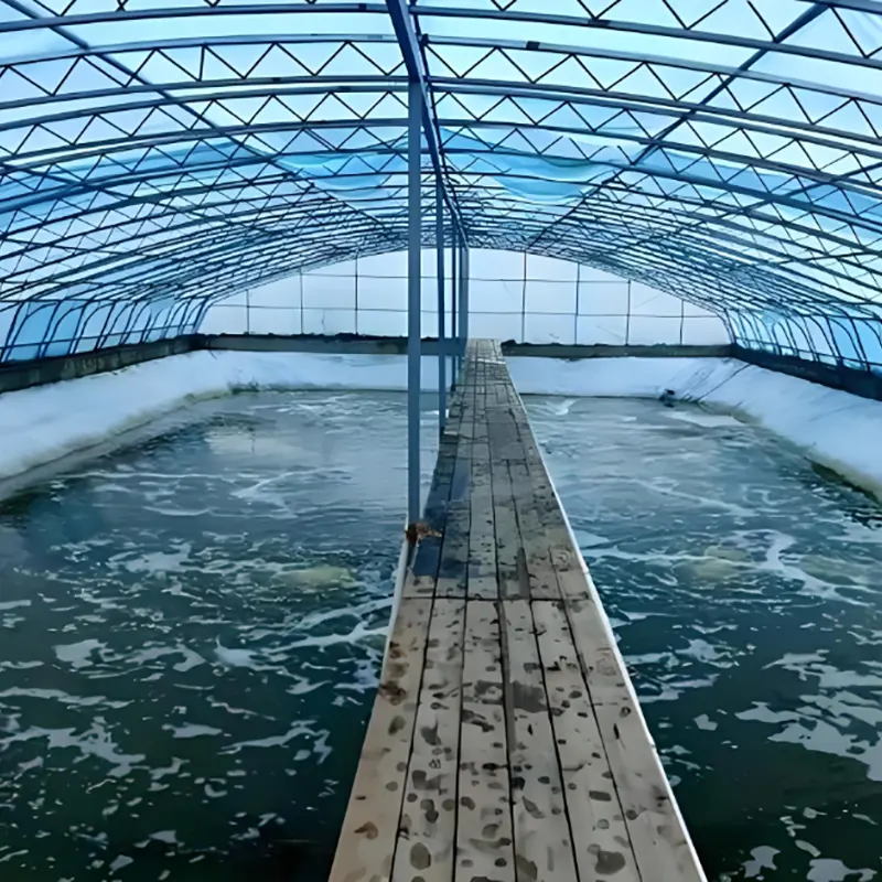 Crab Breeding Shed