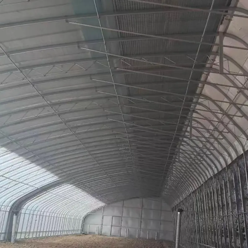 Prefabricated Double-Steel Frame Solar Greenhouse