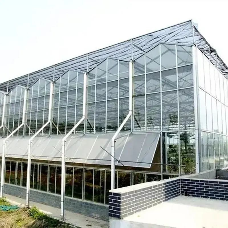 Sawtooth-Type Multi-Span Greenhouse With Skylight