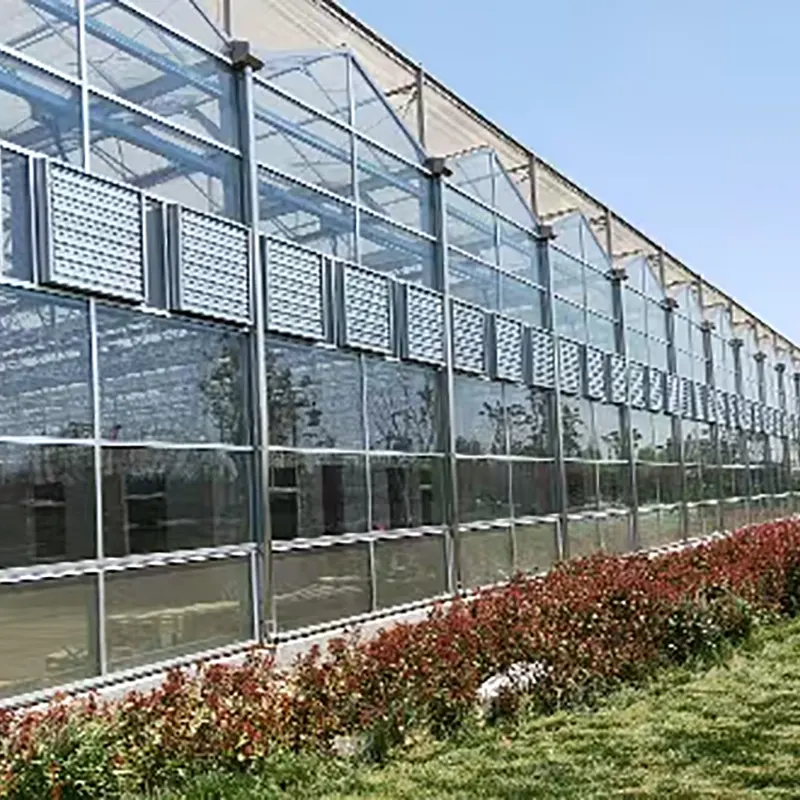 Multi-Span Double-Layer Hollow Glass Greenhouse