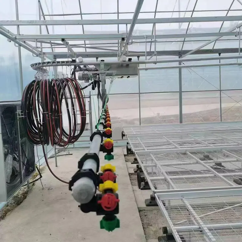 Double-Sided Sawtooth-Type Multi-Span Greenhouse