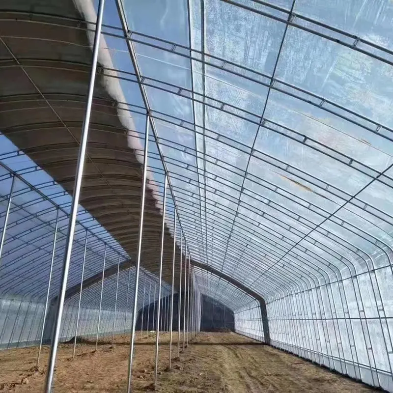 Double-Steel Frame Round-Arch Solar Greenhouse