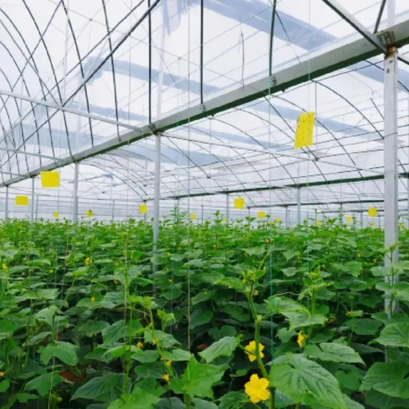 All-Steel Round-Arch Solar Greenhouse