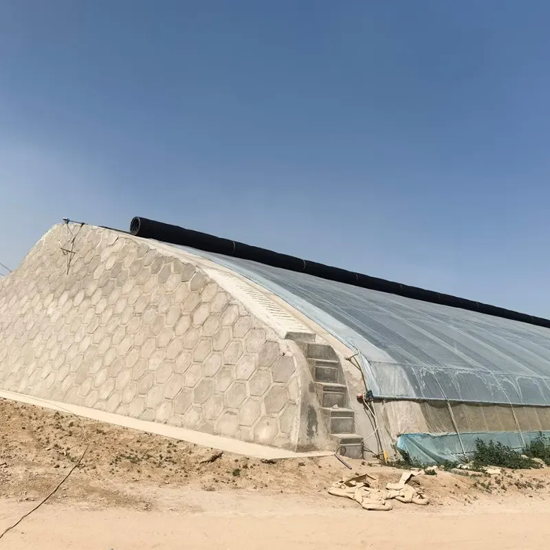 Prefabricated Double-Steel Frame Solar Greenhouse