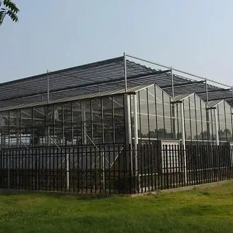 Sawtooth-Type Multi-Span Greenhouse With Skylight