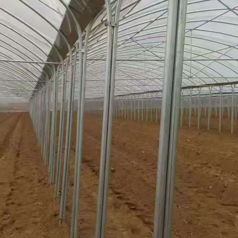 Leg-Together Round-Arch Simple Multi-Span Greenhouse