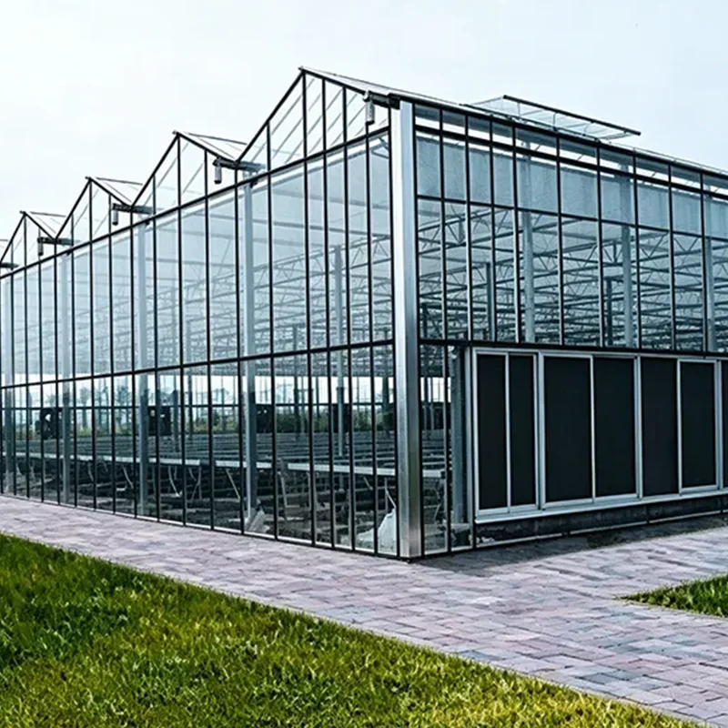 Low-E Glass Multi-Span Greenhouse