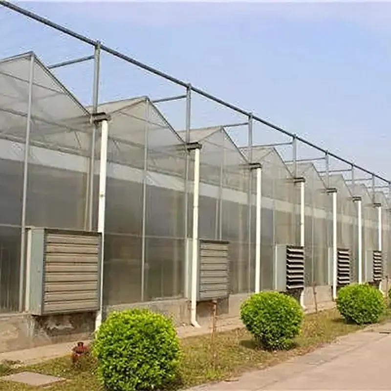 Multi-Span Double-Layer Hollow Glass Greenhouse