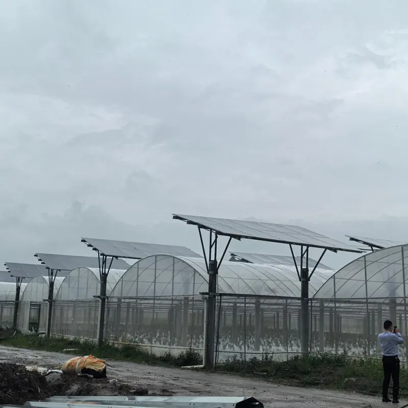 Multi-Span Greenhouse with Photovoltaic Roof