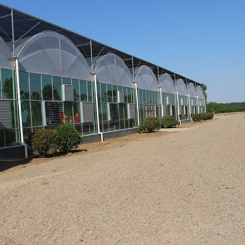 PO-Film Multi-Span Greenhouse