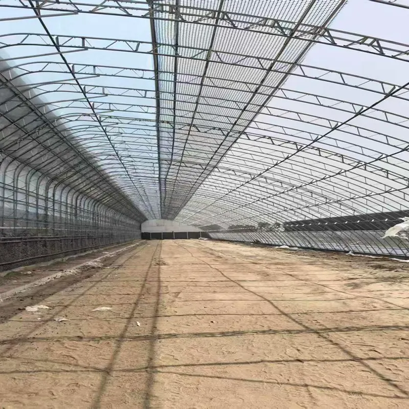 Prefabricated Double-Steel Frame Solar Greenhouse