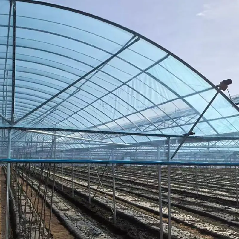 Round-Arch Simple Multi-Span Greenhouse