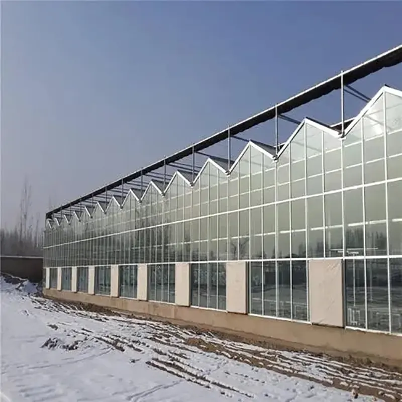 Single-Layer Glass Multi-Span Greenhouse Single-Layer Glass Multi-Span Greenhouse