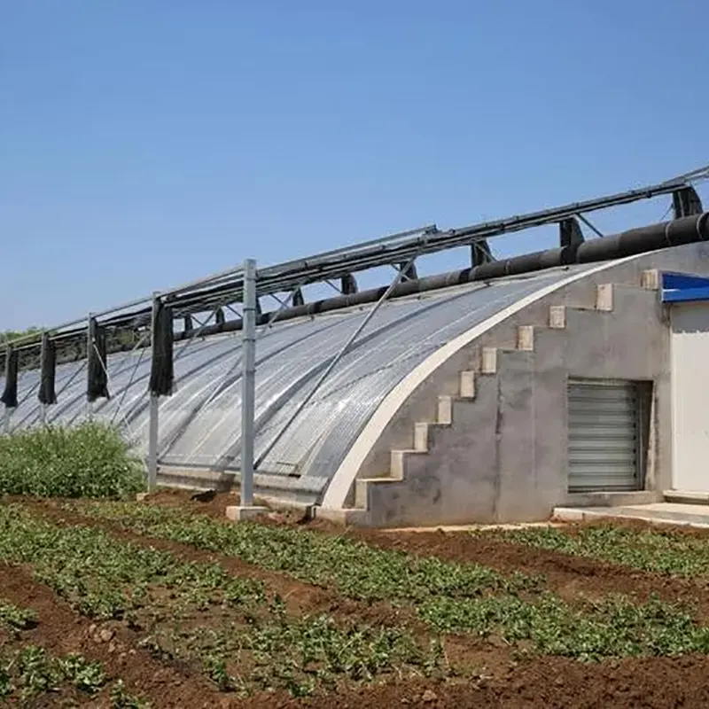 Welded Steel Truss Single-Slope Solar Greenhouse